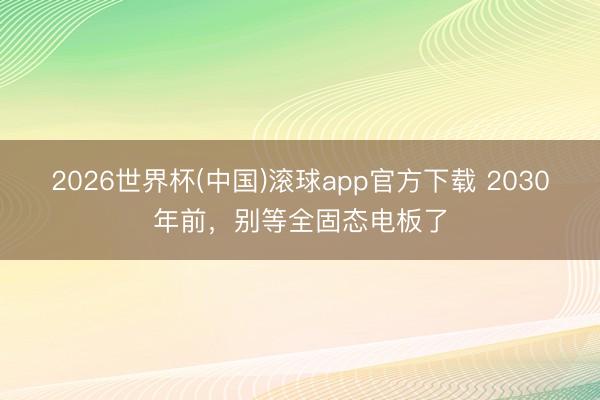 2026世界杯(中国)滚球app官方下载 2030年前，别等全固态电板了