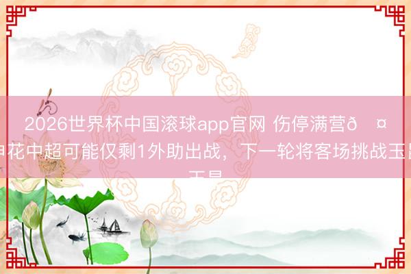 2026世界杯中国滚球app官网 伤停满营🤕申花中超可能仅剩1外助出战，下一轮将客场挑战玉昆