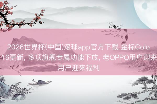2026世界杯(中国)滚球app官方下载 金标ColorOS 16更新， 多项旗舰专属功能下放， 老OPPO用户迎来福利