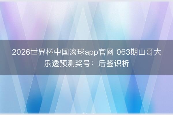 2026世界杯中国滚球app官网 063期山哥大乐透预测奖号：后鉴识析