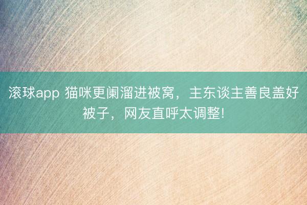 滚球app 猫咪更阑溜进被窝，主东谈主善良盖好被子，网友直呼太调整!