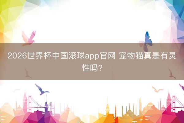 2026世界杯中国滚球app官网 宠物猫真是有灵性吗?