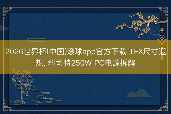 2026世界杯(中国)滚球app官方下载 TFX尺寸遐想， 科司特250W PC电源拆解