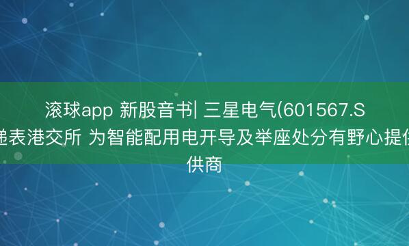 滚球app 新股音书| 三星电气(601567.SH)递表港交所 为智能配用电开导及举座处分有野心提供商