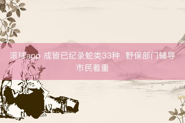 滚球app 成皆已纪录蛇类33种 野保部门辅导市民着重