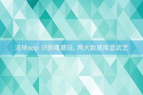 滚球app 识别毒蘑菇， 两大数据库显武艺