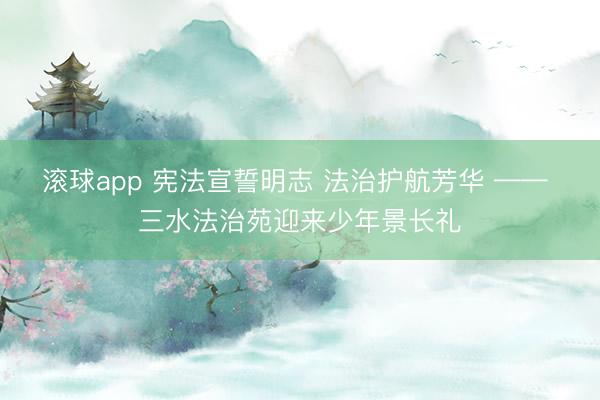 滚球app 宪法宣誓明志 法治护航芳华 —— 三水法治苑迎来少年景长礼