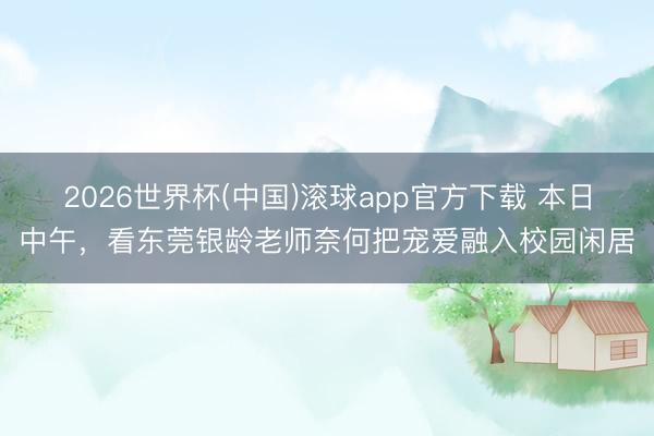 2026世界杯(中国)滚球app官方下载 本日中午，看东莞银龄老师奈何把宠爱融入校园闲居