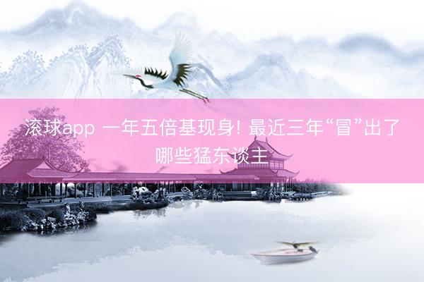 滚球app 一年五倍基现身! 最近三年“冒”出了哪些猛东谈主