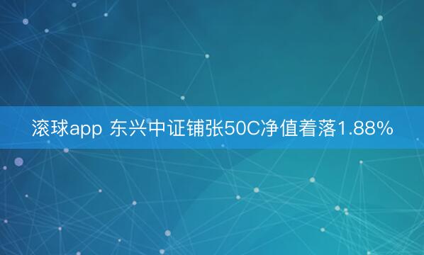 滚球app 东兴中证铺张50C净值着落1.88%