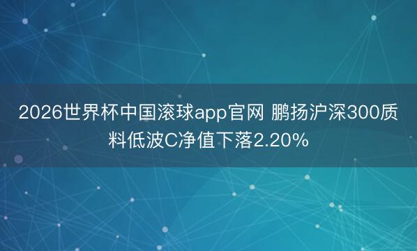 2026世界杯中国滚球app官网 鹏扬沪深300质料低波C净值下落2.20%